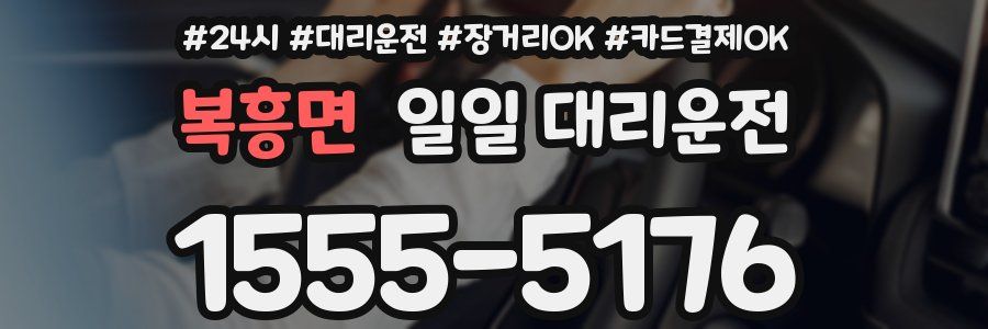 복흥면 일일 대리운전