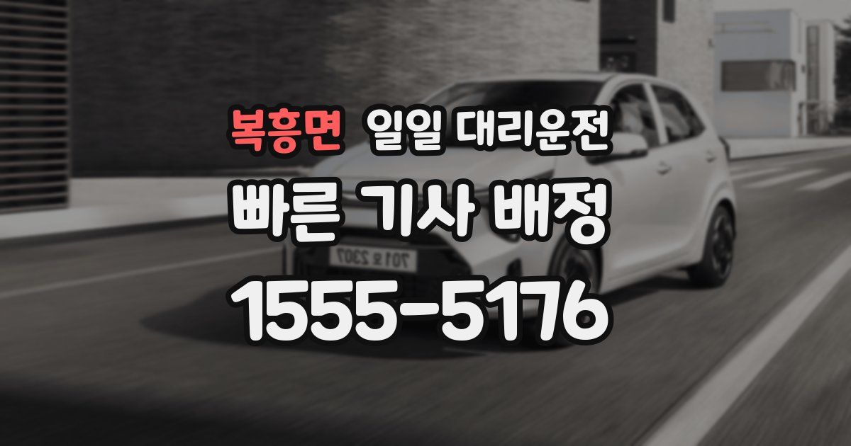 복흥면 일일 대리운전
