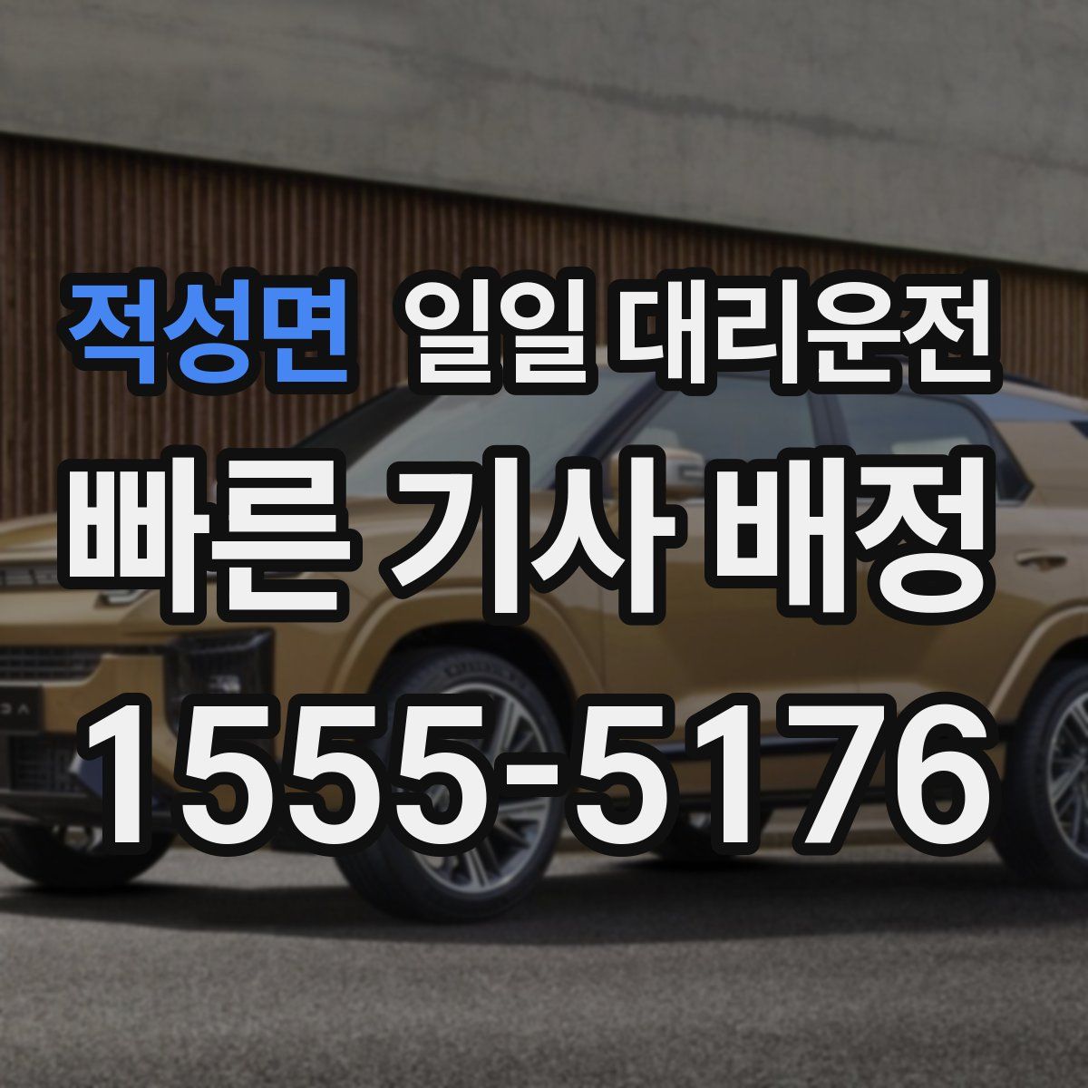 적성면 일일 대리운전