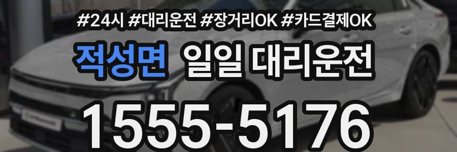 적성면 일일 대리운전