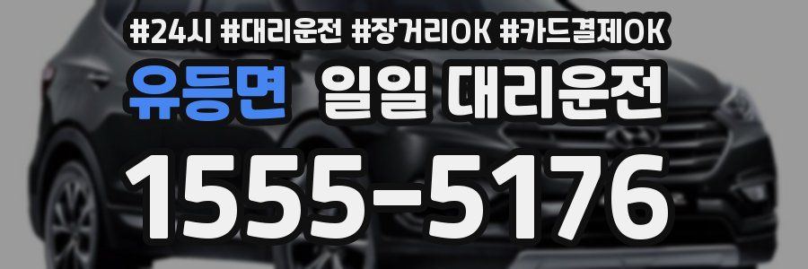 유등면 일일 대리운전