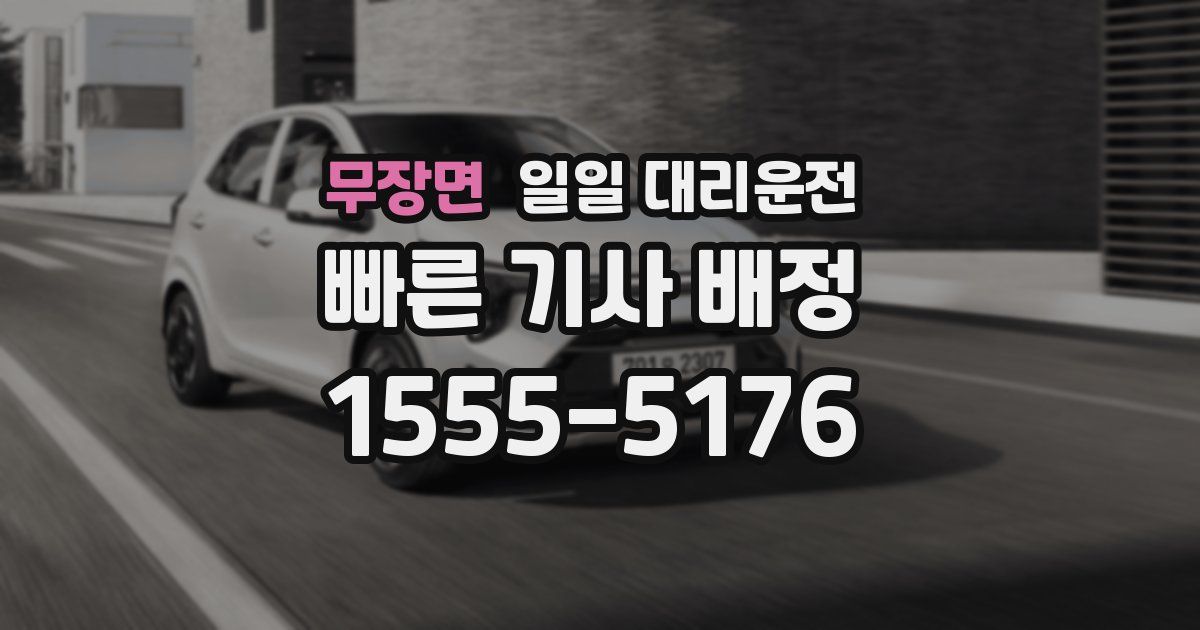 무장면 일일 대리운전