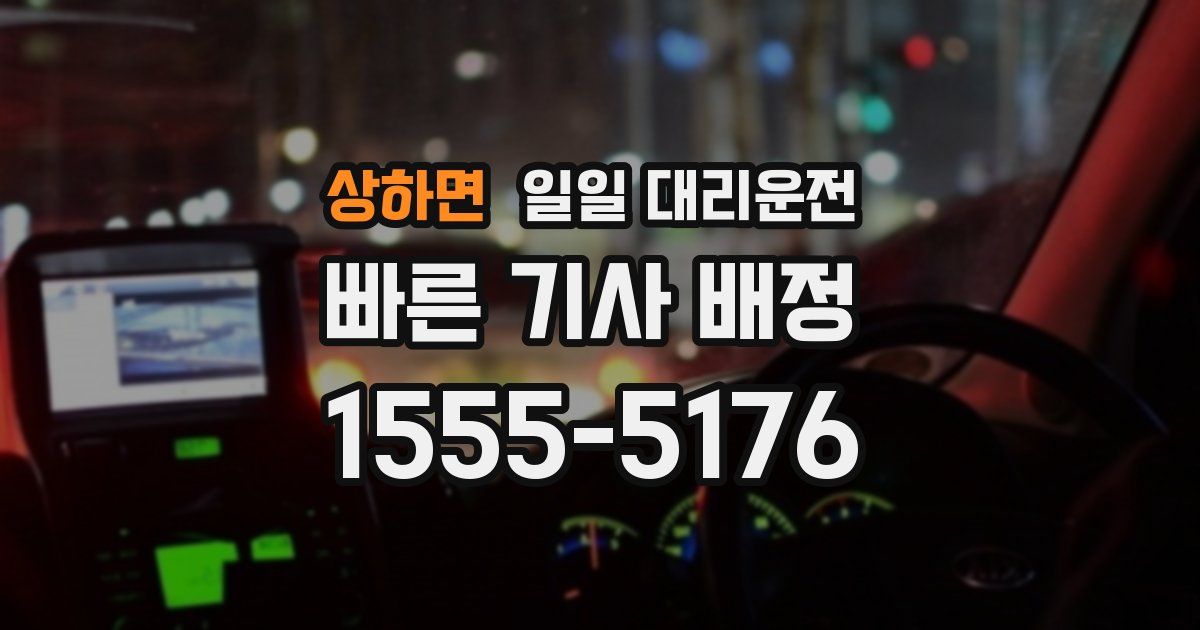상하면 일일 대리운전