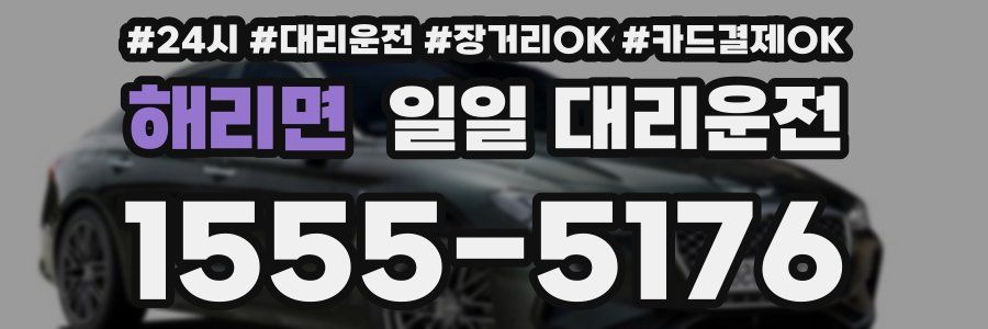 해리면 일일 대리운전