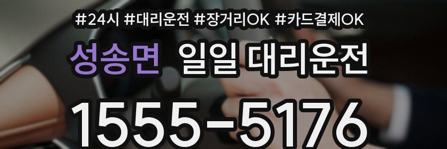성송면 일일 대리운전