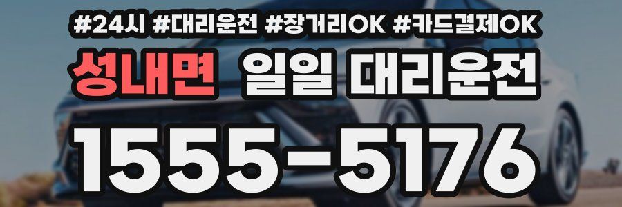 성내면 일일 대리운전