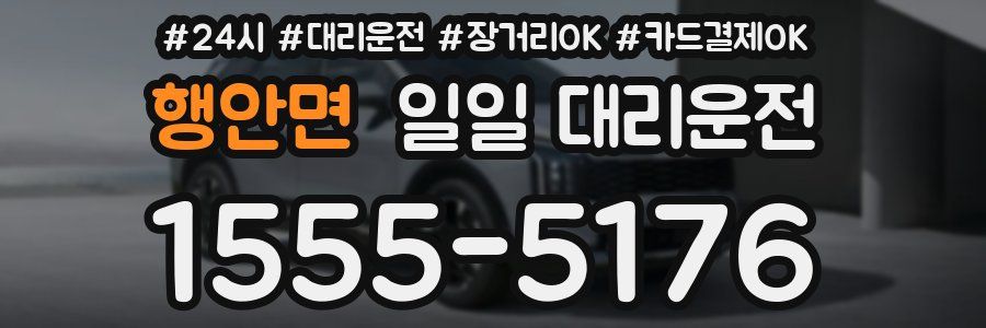 행안면 일일 대리운전