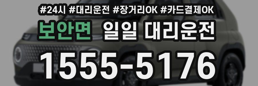 보안면 일일 대리운전