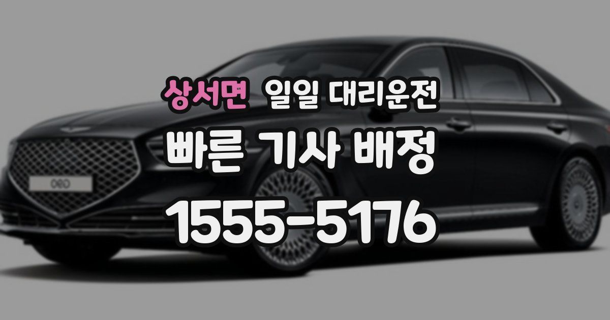 상서면 일일 대리운전