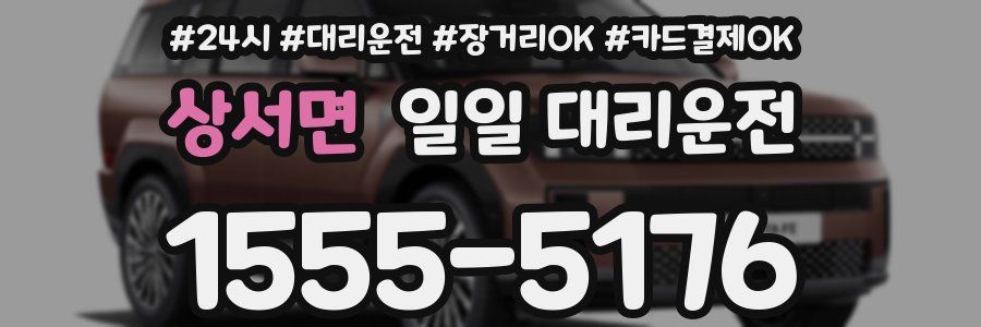 상서면 일일 대리운전