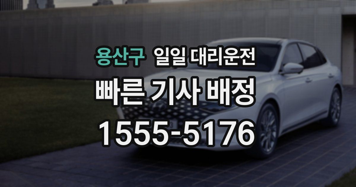 용산구 일일 대리운전