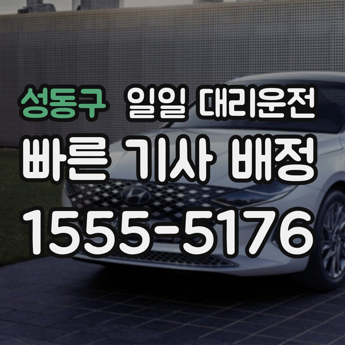 성동구 일일 대리운전