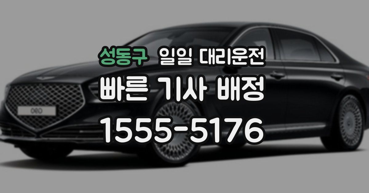성동구 일일 대리운전