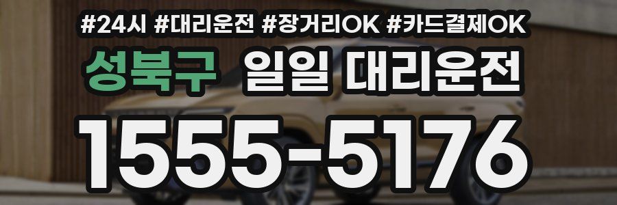 성북구 일일 대리운전