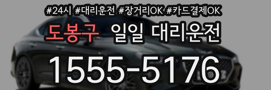 도봉구 일일 대리운전