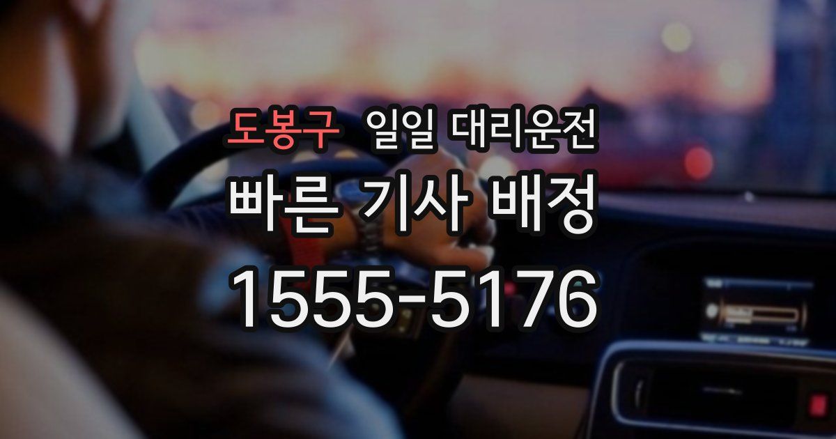 도봉구 일일 대리운전