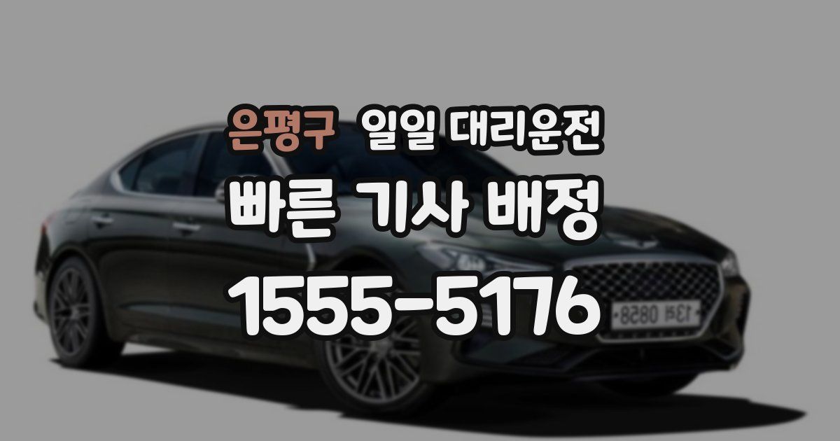 은평구 일일 대리운전