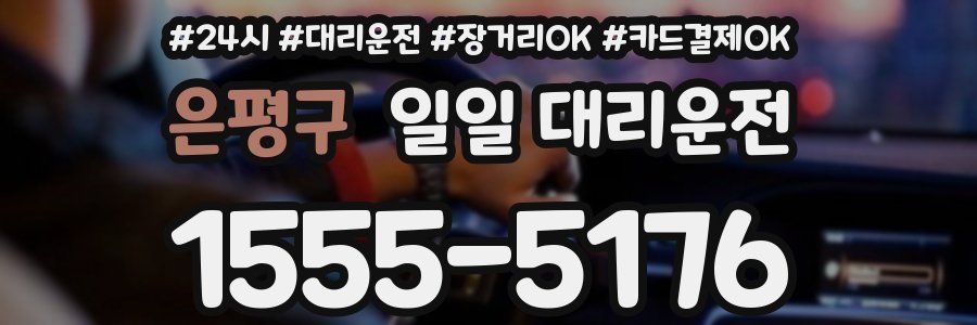 은평구 일일 대리운전