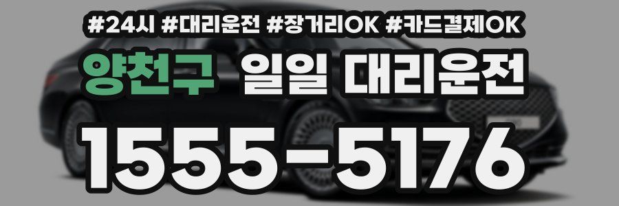 양천구 일일 대리운전
