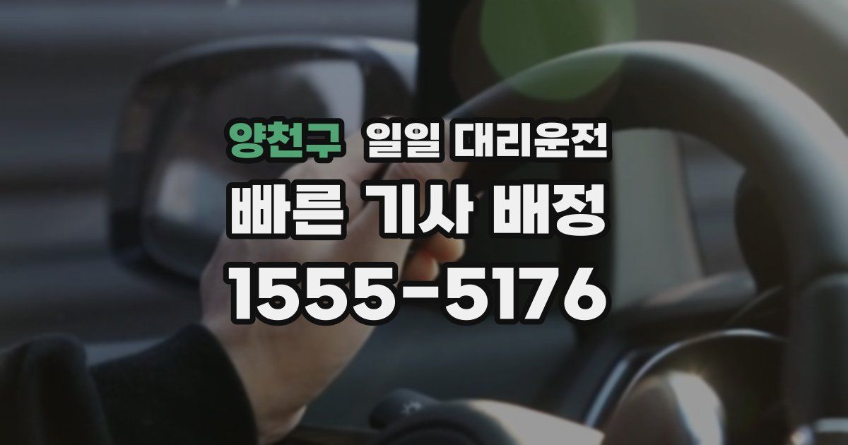 양천구 일일 대리운전