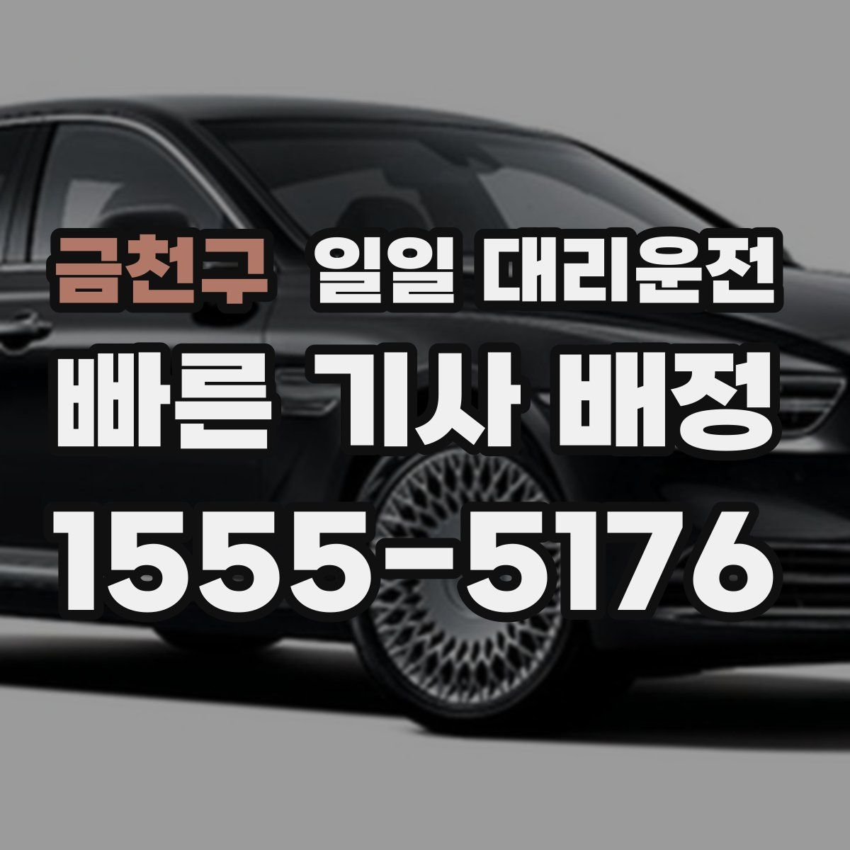 금천구 일일 대리운전