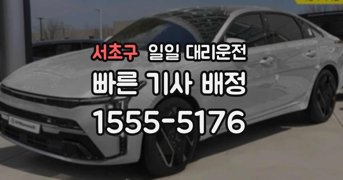 서초구 일일 대리운전
