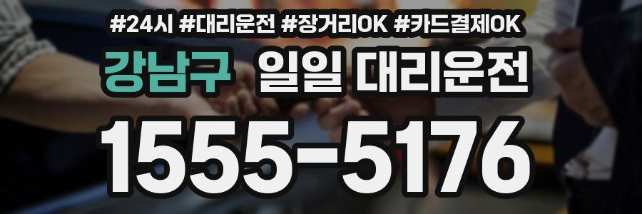 강남구 일일 대리운전