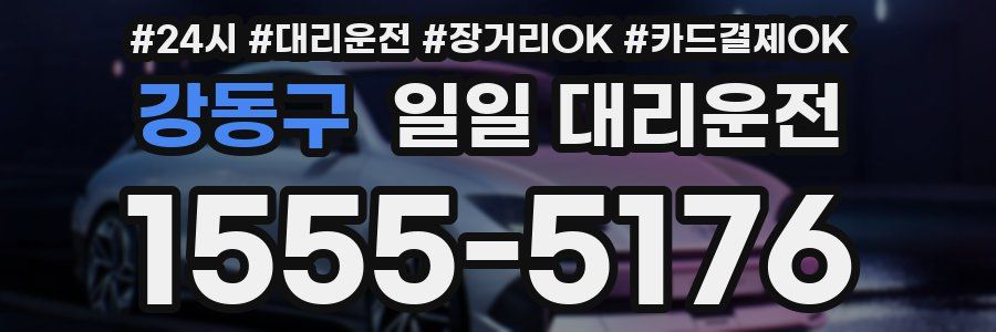 강동구 일일 대리운전