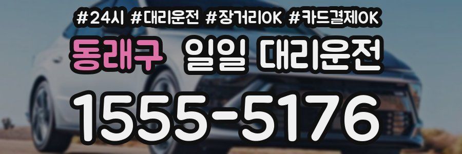 동래구 일일 대리운전
