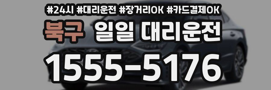 북구 일일 대리운전