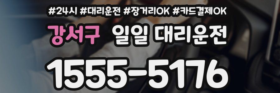 강서구 일일 대리운전