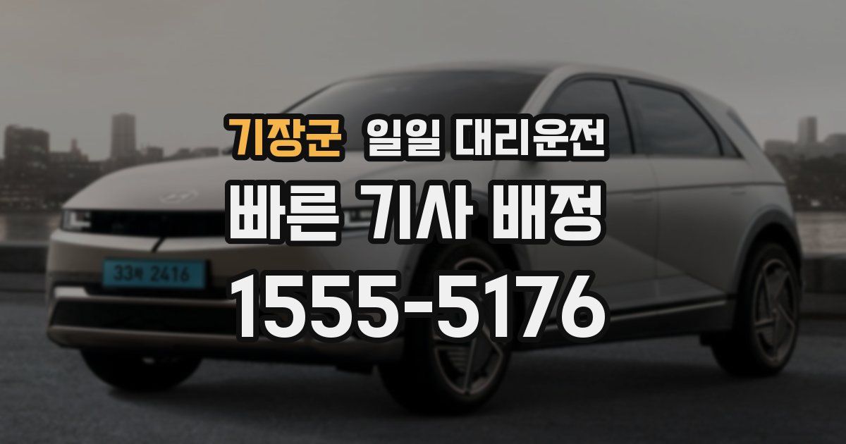 기장군 일일 대리운전