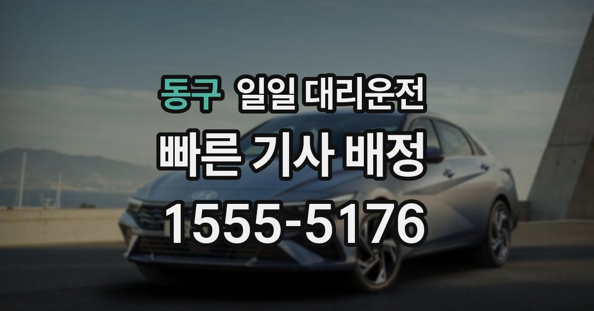 동구 일일 대리운전