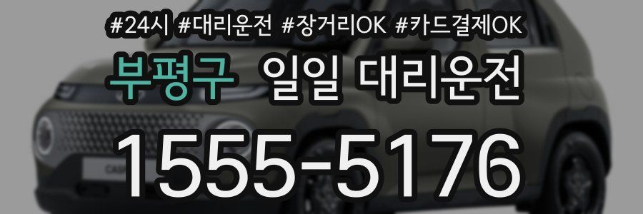 부평구 일일 대리운전