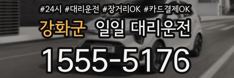 강화군 일일 대리운전