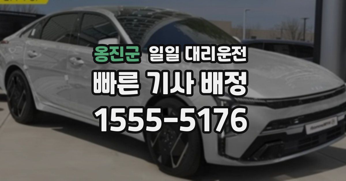 옹진군 일일 대리운전
