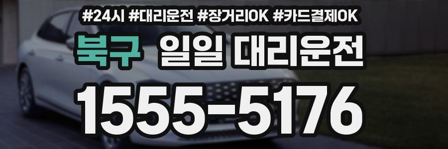 북구 일일 대리운전