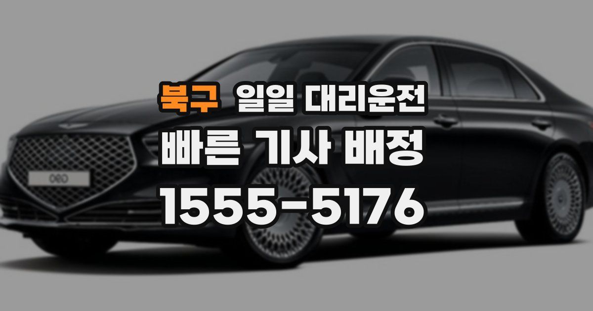 북구 일일 대리운전