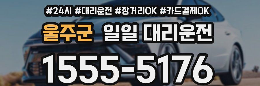 울주군 일일 대리운전
