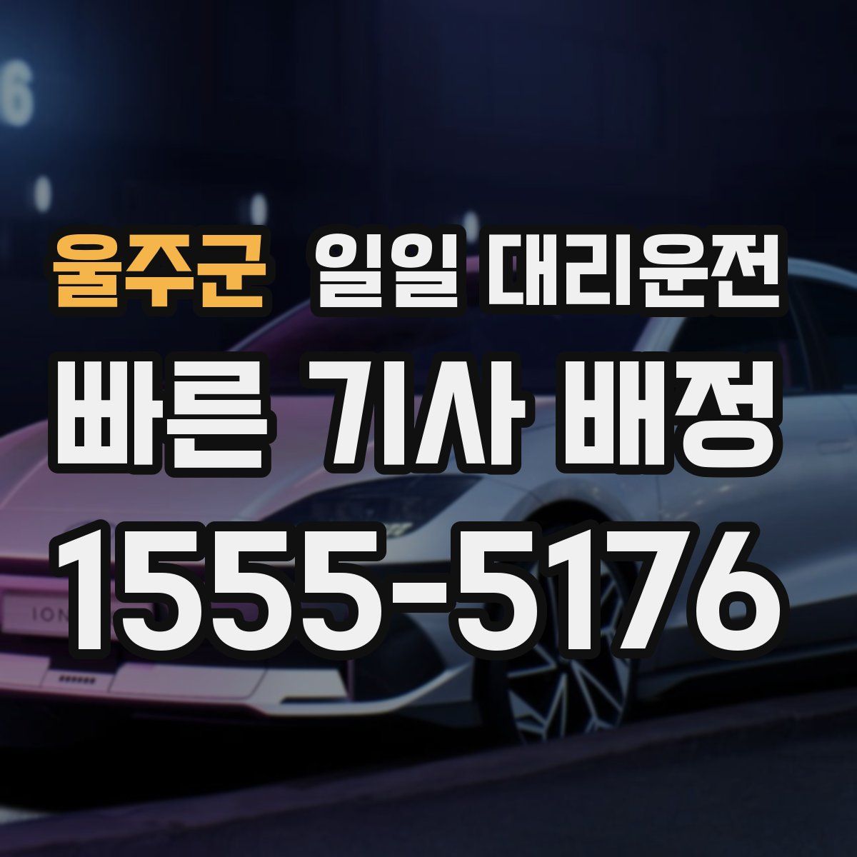 울주군 일일 대리운전