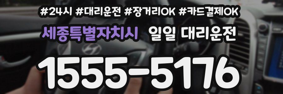 세종특별자치시 일일 대리운전