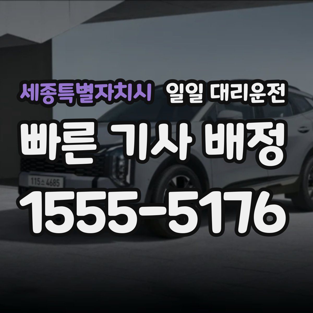 세종특별자치시 일일 대리운전