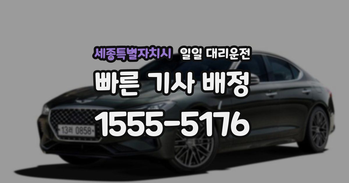 세종특별자치시 일일 대리운전