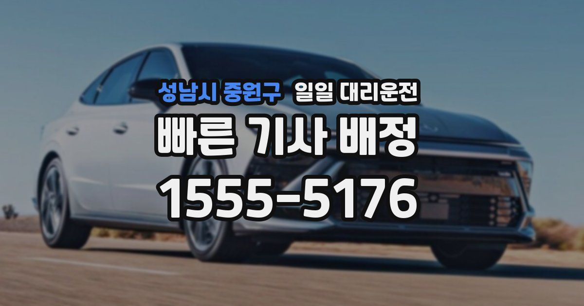 성남시 중원구 일일 대리운전
