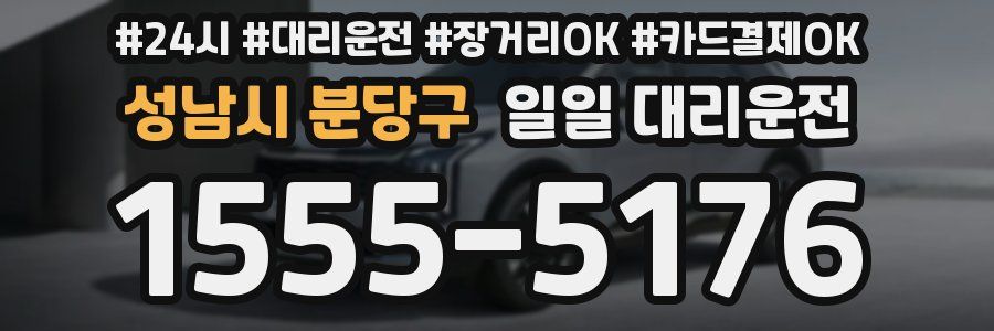 성남시 분당구 일일 대리운전