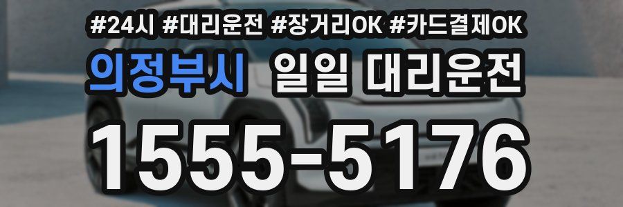 의정부시 일일 대리운전