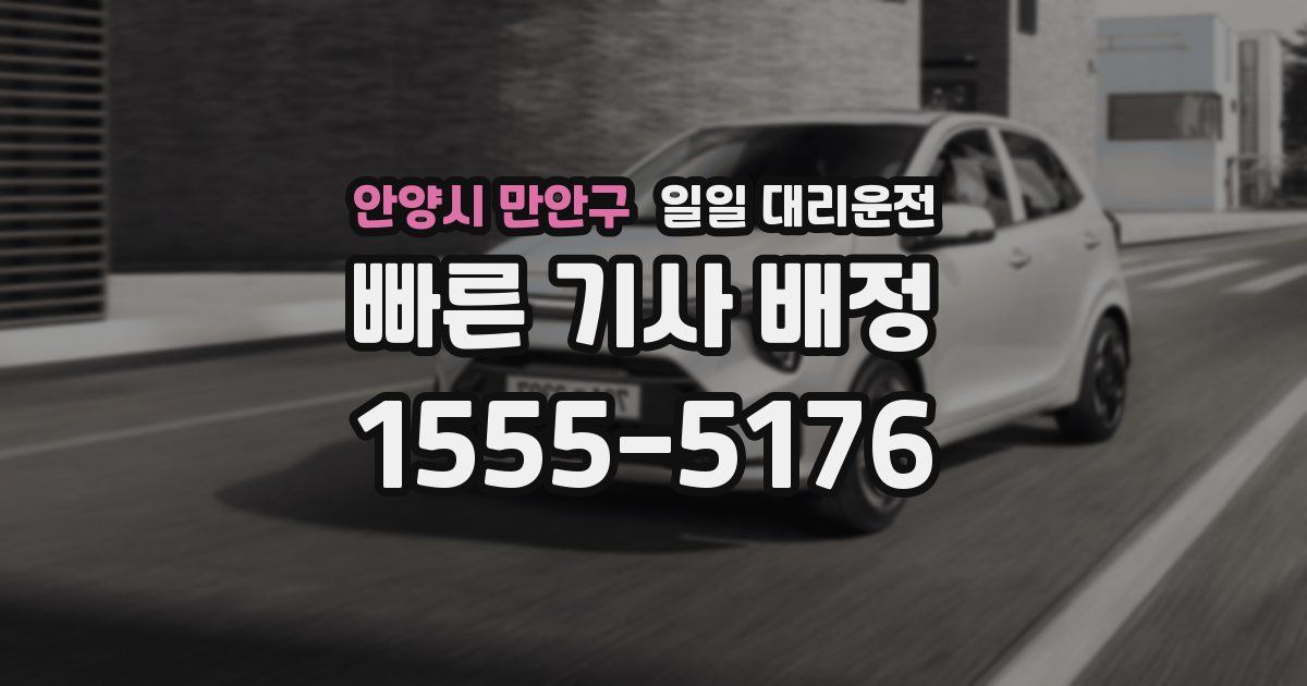 안양시 만안구 일일 대리운전