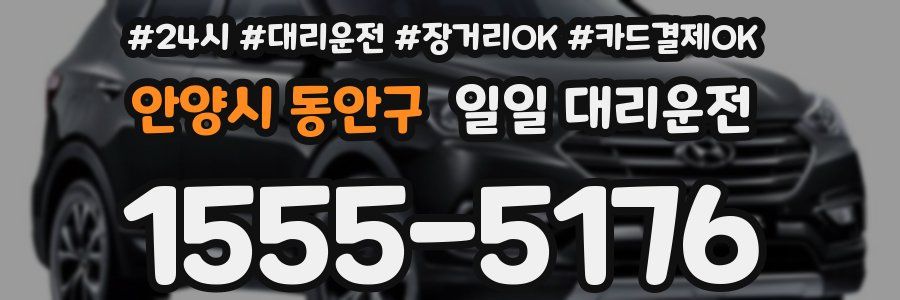 안양시 동안구 일일 대리운전