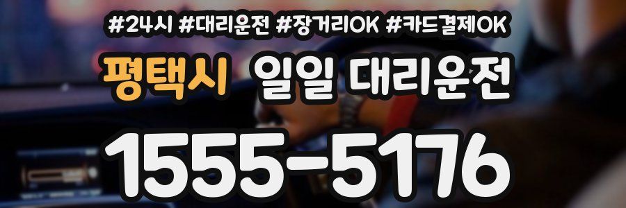 평택시 일일 대리운전