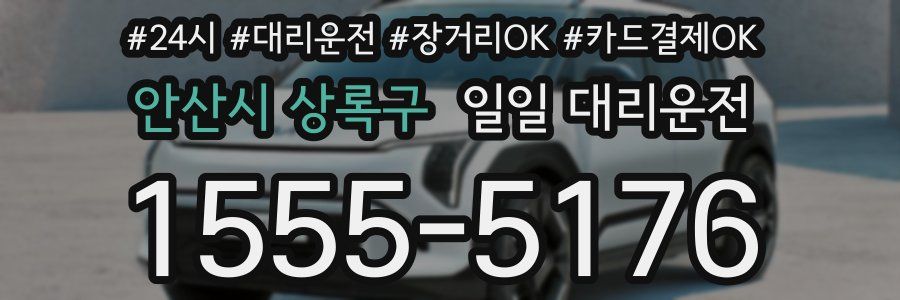안산시 상록구 일일 대리운전
